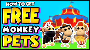 Roblox, the roblox logo and powering imagination are among our registered and unregistered trademarks in the u.s. How To Get Free Monkey Pets In Adopt Me Roblox Legit 100 Working Free Legendary Monkey Pet Youtube