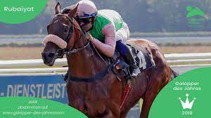 We did not find results for: Juliane Barth Stellt Uns Rubaiyat Vor Kandidat Zum Galopper Des Jahres 2019 Youtube