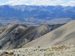 Image result for Littonia