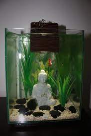 Pin On Fish Tank Stuff