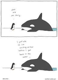 Animal Encounters Guaranteed To Cheer You Up By Liz Climo Imgur Cute Comics Funny Animal Comics Funny Cartoons