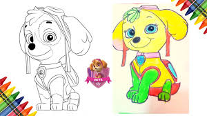 Librivox is a hope, an experiment, and a question: How To Draw Skye From Paw Patrol Color Skye Diy Colorful Skye Coloring Page Kids Princess Show Youtube