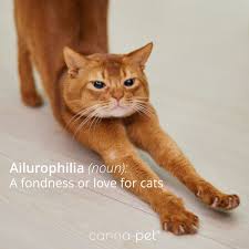 We did not find results for: Canna Pet Cannapet Twitter