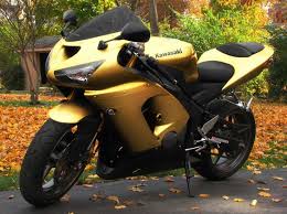 Image result for Pale Gold 1991 Motorcycle