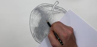 Zeichnen ideen leicht bilder designfan in schöne bilder zum. Apfel Zeichnen Bleistift Anleitung