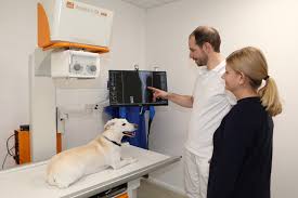 Tiergesundheit-Herford | Kleintierpraxis Schmidtke