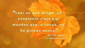 Ideas de una maestra rural. Frases Para El Dia Del Libro 2021 Originales Y Bonitas Espaciolibros Com