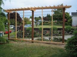 Growing Hops My Story Hops Trellis Grape Trellis Trellis