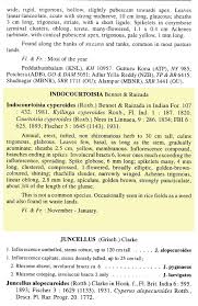 Image result for Courtoisina cyperoides