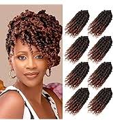 Amazon.com: Bileaf Ombre Passion Twist Hair Pre Looped 14 Inch Passion  Twist Crochet Hair for Black Women, Pre Twisted Boho Crochet Twist Braids  for Women Kids Pre Looped Soft Lightweight 8 Packs
