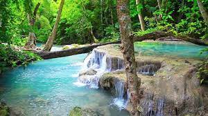 Mar 10, 2021 · this is only a small selection of all the incredible places in new jersey where we can relax in nature, dozens more could be added to the list! 22 Nature Relaxation Ideas Nature Relax Relaxing Music