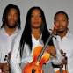 Vibrant Strings in Concert event image