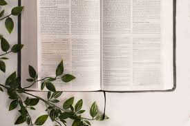 If you continue to use this site we will assume that you are happy with it. Csb Women S Bible Comparison Lifeway Women