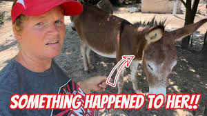 We’ve Got Babies Everywhere!!