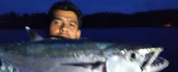 Entdecke rezepte, einrichtungsideen, stilinterpretationen und andere ideen zum ausprobieren. Teknik Mancing Handline Cara Memancing Tanpa Joran Metode Pancing Ulur Hanlining Safari Wisata International