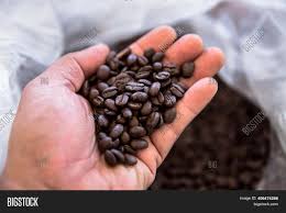Learn to brew, subscribe, or visit us in portland, seattle, new york, chicago and los angeles. Roasted Coffee Beans Image Photo Free Trial Bigstock
