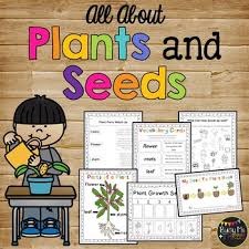Plant Life Cycle Worksheets Observation Journal Crafty Posters