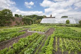 Arley Hall Gardens Cheshire Vegetable Garden Arley Hall Garden Wall