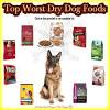 Cheap dog food isn't good and good dog food isn't cheap. 1