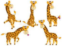 These digital clipart files are perfect for projects such as: Giraffe Clipart Stock Illustrations 4 518 Giraffe Clipart Stock Illustrations Vectors Clipart Dreamstime