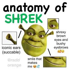 Shrekkkyyy Boissssss Anatomy Shrek Ears Earfetish Green Greenfac Funny Funnymoment Funnymemes Memes Best Funny Jokes Shrek Shrek Memes