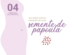 4 Semanas De Gravidez Blog Da Cordvida
