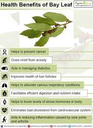 Pin On Health Remedies