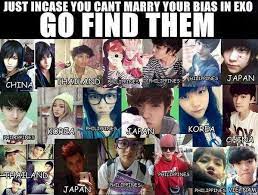 Ha Ha Some Do Look Like Certain Idols Kpop Memes Kpop Funny Exo Memes