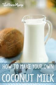 Homemade Coconut Milk Recipe Wellness Mama Recipe In 2020 Milk Recipes Coconut Milk Recipes Healthy Drinks