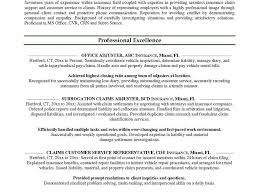Our representatives are responsible for educating customers, building rapport, driving vehicles, and completing paperwork. Car Sales Job Description For Resume Inspirational Unique Leasing Agent Job Description Resume Job Resume Examples Sales Resume Examples Sales Job Description