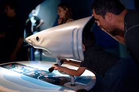 Winner Of The 2016 Red Dot Design Award For User Experience Design The Shark Senses Virtual Reality Kiosk Is Now Avai Exhibition Zoo Project Exhibition Design