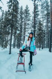 Image result for Emilia libeniana