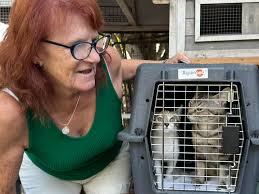 Yay for Tabitha and Snooki! ❤️ Because mother and daughter were adopted  together! We're so happy for this adorable duo to be adopted together.  Making a difference one animal at a time.