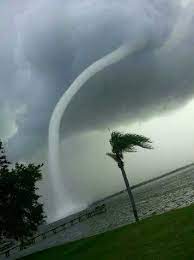Site sur l'anatomie humaine et le corps humain. Incredible Photo Of The Oldsmar Fl Water Spout Earlier Today Courtesy Of Eric Greening On Twitter Shot By His Aunt From The Bay A Naturphanomene Tropen Natur