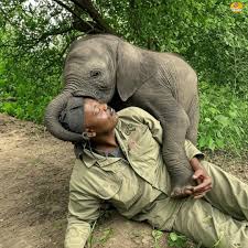 Some people carry a kind of quiet magic – and for us, that's Lekupanai.  Gentle, generous, and endlessly patient, he is one of those rare  individuals who embodies kindness and love in