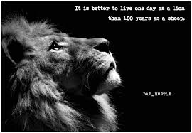 A Lion Does Not Concern Himself With The Opinions Of Sheep Imgur