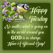 Some of the most funniest and hilarious animals pictures with captions are listed below …. 30 Amazing Tuesday Morning Blessings Morning Greetings Morning Quotes And Wishes Images