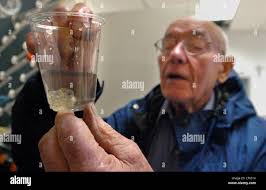 St lawrence college hi-res stock photography and images