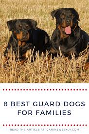 Best Family Guard Dog 8 Good Protecton Dogs For Families Family Protection Dogs Dogs Guard Dogs