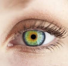 Unabhängig davon, ob sie anfänger oder fortgeschrittener sind, finden sie bei uns schöne zeichnen ideen. Bildergebnis Fur Augenfarben Augen Farbe Schone Augen Augenfarbe