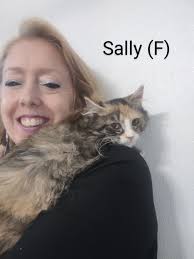 Bonding with cat Sally and adoption applications