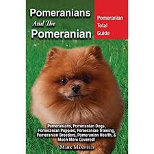 If you do not find the pomeranian puppy for sale that you are looking for then place your request within our pomeranian dogs wanted area. Buy Pomeranians And The Pomeranian Pomeranian Total Guide Pomeranians Pomeranian Dogs Pomeranian Puppies Pomeranian Training Pomeranian Breeders Pomeranian Health Much More Covered Paperback April 24 2018 Online In Sri Lanka 1911355767