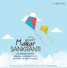 Pin By Lp Intpro On Festival Flyers Happy Sankranti Festival Flyer Flyer