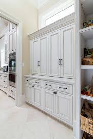 If you want to introduce another color, your white raised panel cabinets won't upstage it. Pin On Kitchen Pantry