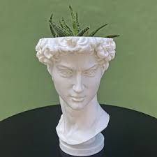 David statue planter