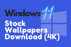 This article is a comprehensive guide for wallpapering around unusual spaces, like windows, archways, outlets, faceplates, fixtures, thermostats, and more. Download Windows 11 Wallpapers Stock 4k Android Nature