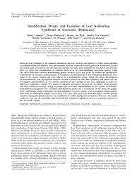 Image result for Sericanthe chimanimaniensis