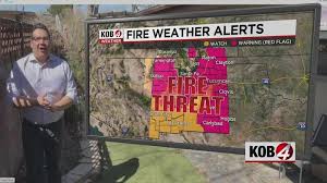 You Asked 4 It: How does Eddie do the backyard forecast?