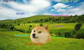 Jun 03, 2021 · dogecoin day: Download Such Wow Doge Shiba Inu In The Field Meme Wallpaper Wallpapers Com