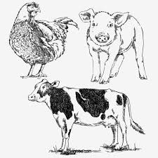 Rooster Cow Pig Farm Animal Hand Drawn Elements Animal Farm Sketch Png Transparent Clipart Image And Psd File For Free Download How To Draw Hands Farm Animals Pig Farming